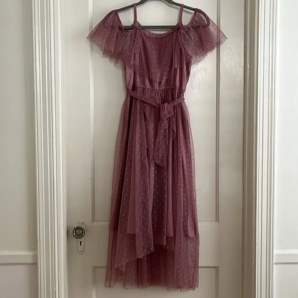 Mia Joy Joyfulie Dusty Rose Boho Mesh Overlay Asymmetrical Hem Maxi Dress